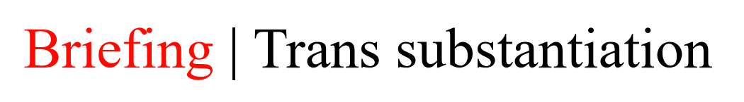 Briefing | Trans substantiation